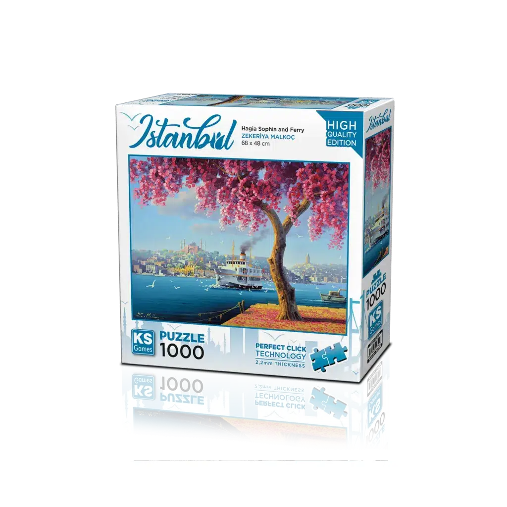 Hagia Sophia and Ferry