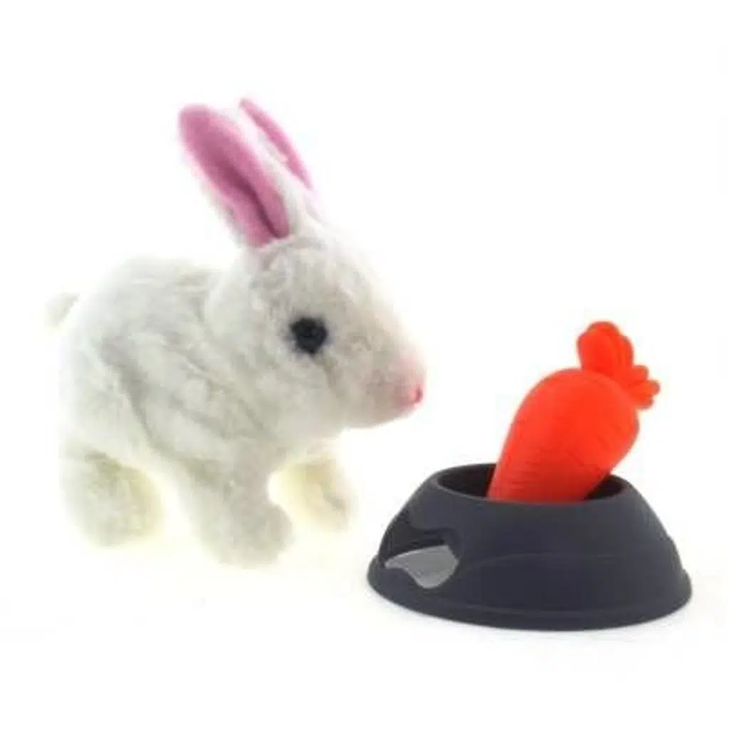 Pet Park Yürüyen Tavşan