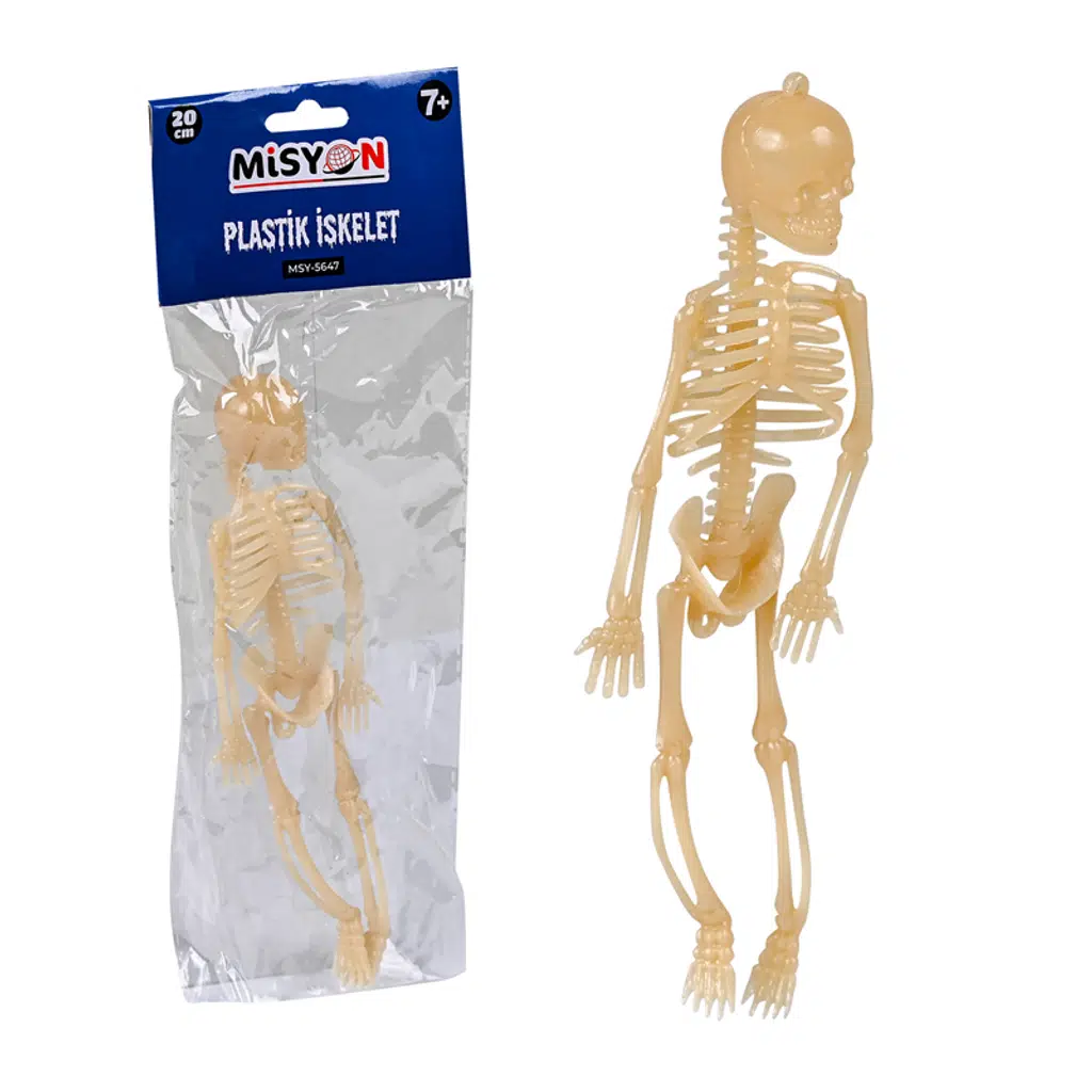 Plastik İskelet 20 Cm