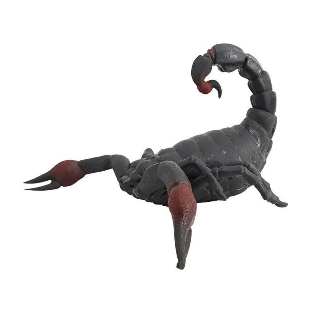 Stretch Akrep