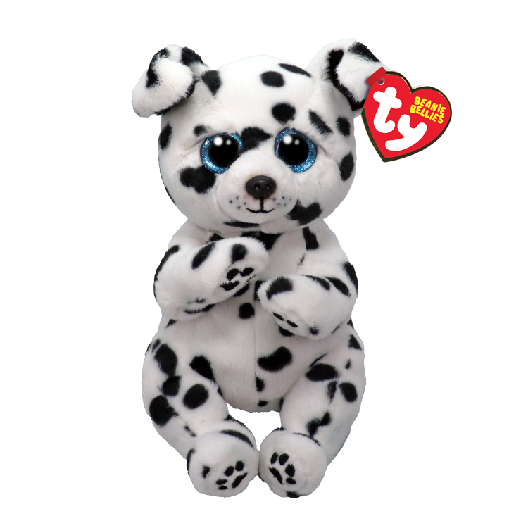 Rowdy - Dalmaçyalı 20 cm.